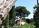 wbgarden roma pines 159